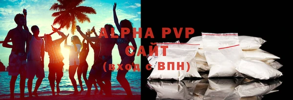 стаф Галич