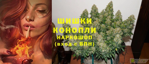 стаф Приозерск