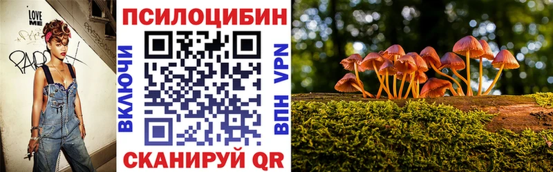 где продают наркотики  Кировград  Псилоцибиновые грибы GOLDEN TEACHER 