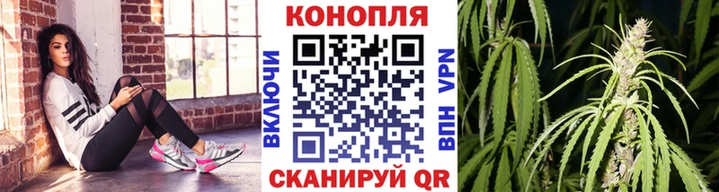 что такое   Кировград  Марихуана White Widow 